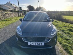 
										Ford fiesta zetec 1.1 petrol full									
