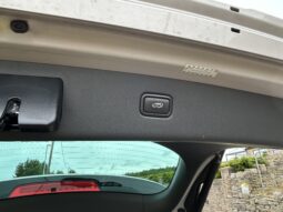 
										Hyundai TUCSON 2.0 CRDi Premium SE Auto full									